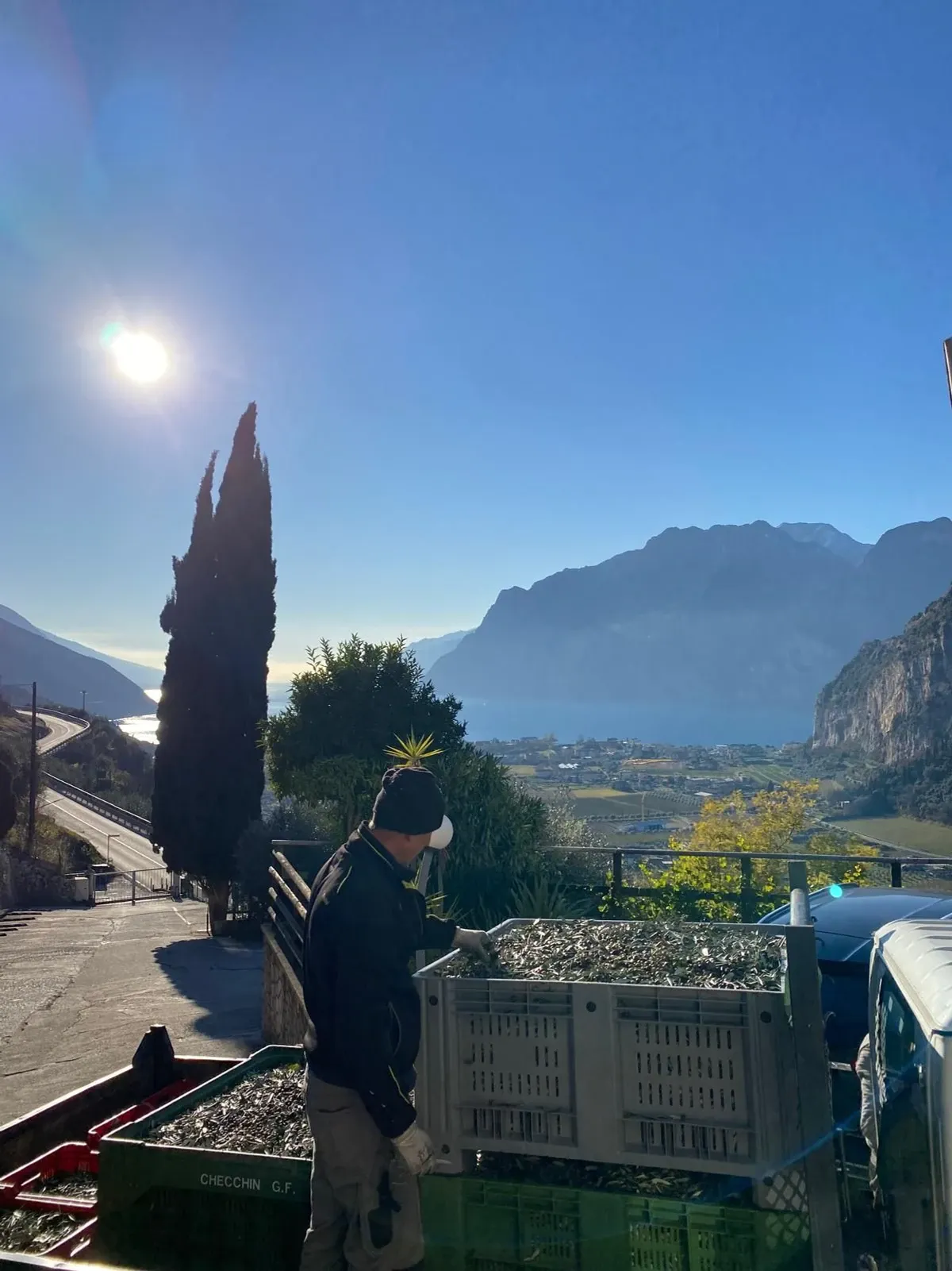 Il lago e le montagne dall'uliveto dell'hotel